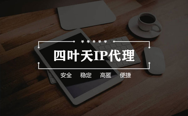 【兴化代理IP】如何快速搭建代理IP？怎么检查代理的效果？